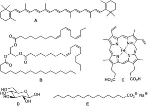 Organische Chemie – Aufgabe 4 von 6 – Chemie  OSA der AlbertLudwigs